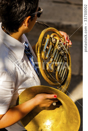 musician plays the woodwind musical instrument  33788002