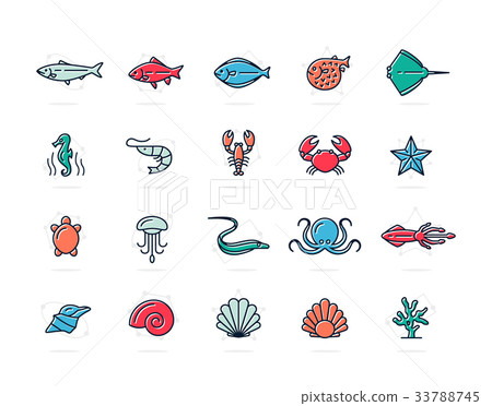 Set of vector fish and sea food colored line icons Set of vector fish and sea food colored line icons 33788745