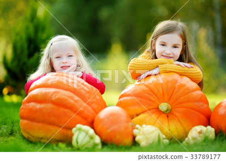Two pretty little sisters having fun together on a pumpkin patch 33789177