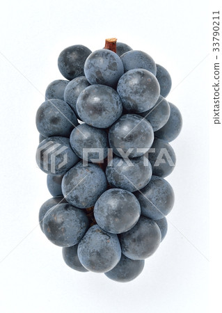 "Nagano purple" of grape, grape. It is grape which can eat skin. 33790211