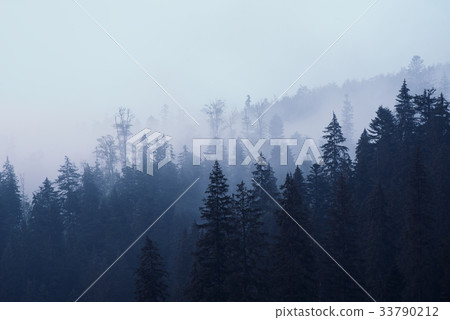 Misty mountain landscape 33790212