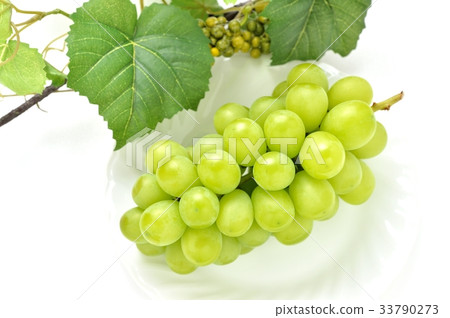 注意）葉子是人造花（模仿仿製品）！葉子不真實。葡萄“Shine Muscat”。 33790273