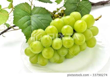 注意）葉子是人造花（模仿仿製品）！葉子不真實。葡萄“Shine Muscat”。 33790274