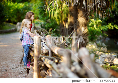 Two cute little sisters watching animals in the zoo on warm and sunny summer day 33790933