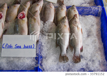 Frozen sea bass In a blue pickup Frozen sea bass In a blue pickup 33791152