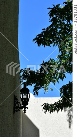 Mountain botanical garden 33791331