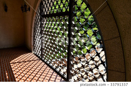 Mountain botanical garden Mountain botanical garden 33791337