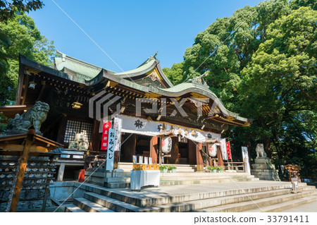 東京大宮八幡宮 33791411