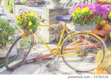 Halloween bicycle with yellow bicycle decorated with pansy flowers 33792526