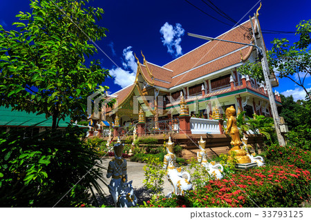 Wat Pa Prao Nok temple in Chiang Mai, Thailand 33793125