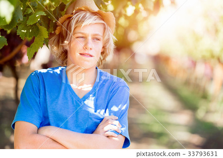 Boy in vineyard Boy in vineyard 33793631