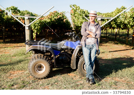 Man standing next to truck in vineyard Man standing next to truck in vineyard 33794830