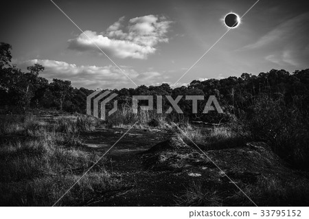 Scientific natural phenomenon. Total solar eclipse 33795152