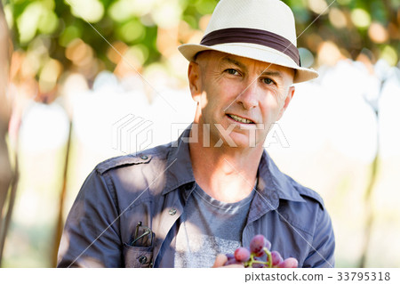 Man standing in vineyard Man standing in vineyard 33795318