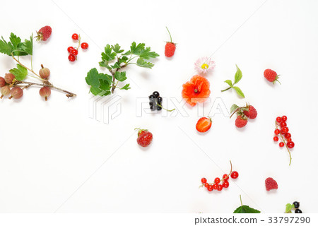 summer concept summer concept 33797290