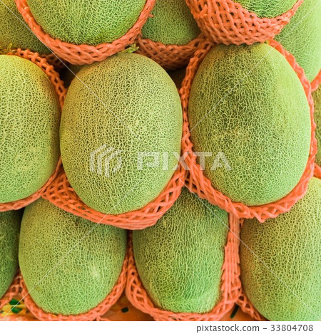 green melon green melon 33804708