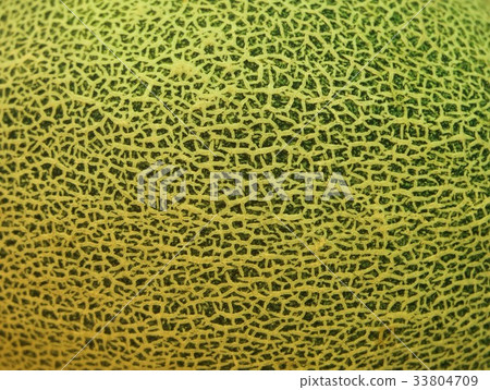 green melon green melon 33804709