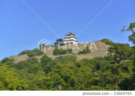 Marugame Castle in the blue sky 33804783