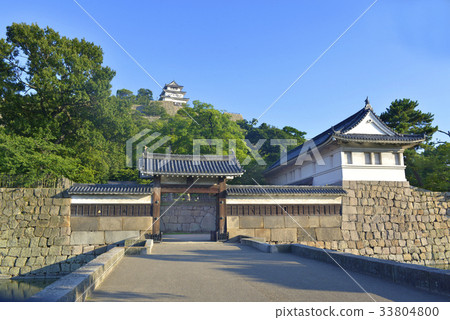 Marugame Castle in the blue sky 33804800