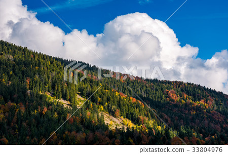 cloud on a blue sky over the forest on hill 33804976