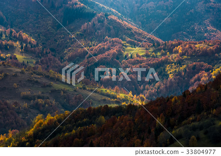 Beautiful orange and red autumn forest on hills 33804977