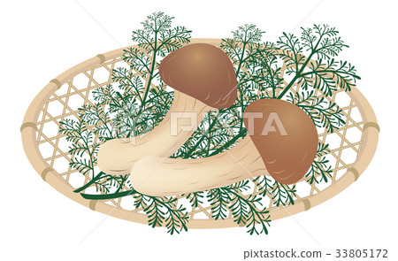 Matsutake Matsutake Matsutake Matsutake 33805172