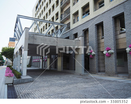 富山市政廳花 33805352