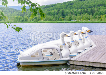 天鵝船湖 33805868