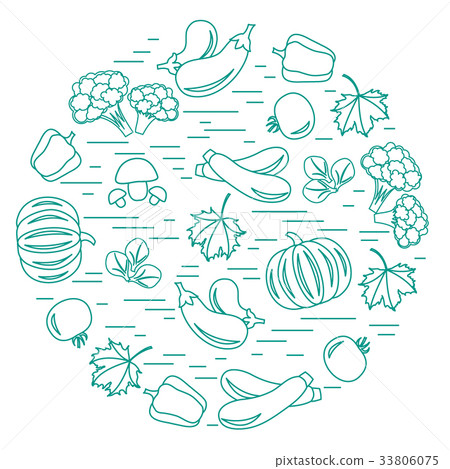 Set of autumn seasonal vegetables in circle Set of autumn seasonal vegetables in circle 33806075