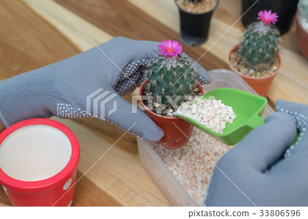 Hand is scooping small stones. 33806596