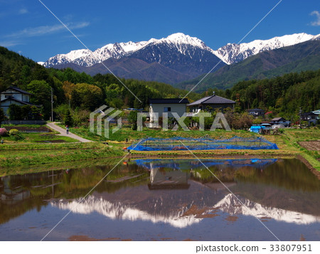 春天Susukidake 33807951