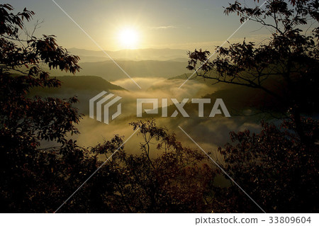 Yunhae, Gogolsan, Ganhyeon Tourist Resort, Wonju, Gangwon-do Yunhae, Gogolsan, Ganhyeon Tourist Resort, Wonju, Gangwon-do 33809604