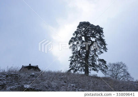 Sungjae，千年歌，丹陽，忠北 33809641