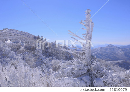 雪剝落，老樹，Deogyusan，Muju-gun，Jeonbuk 33810079