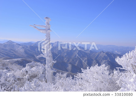 雪剝落，老樹，Deogyusan，Muju-gun，Jeonbuk 33810080