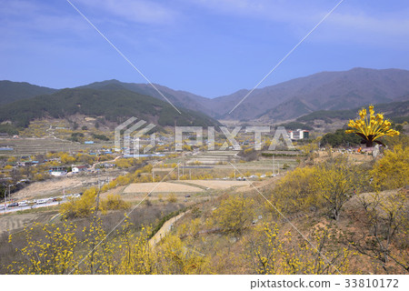 山東石油,山東,求禮郡,全南 山東石油,山東,求禮郡,全南 33810172