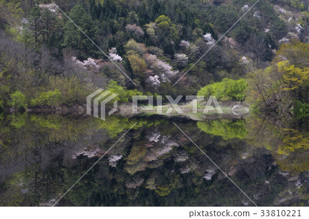 和善槍，全南 33810221