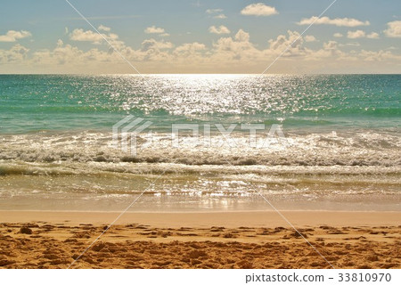 海 海 33810970