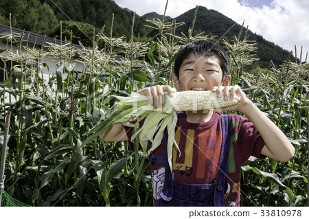 Boy eating a white corn Boy eating a white corn 33810978