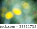 beautiful background bokeh Abstract , lighting 33811738