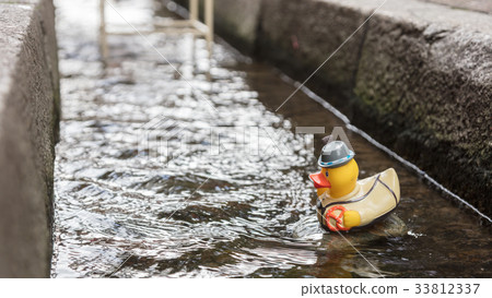 Bath ducks in Freiburg Bachle Bath ducks in Freiburg Bachle 33812337