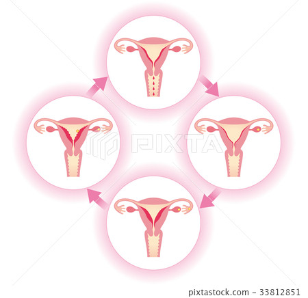 Changes in menstrual cycle and endometrium 33812851