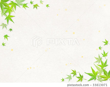 Japanese paper and green maple Japanese paper and green maple 33813071