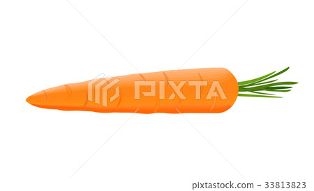 Fresh ripe juicy carrot with short green stem 33813823