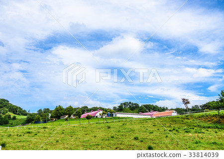 Ikari Takahara Ranch Ikari Takahara Ranch 33814039