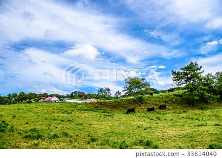 Ikari Takahara Ranch Ikari Takahara Ranch 33814040