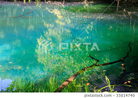 Maruike Maruike 33814740