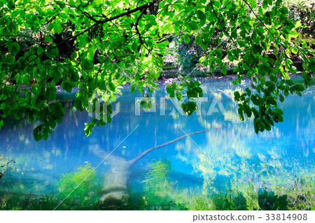 Maruike Maruike 33814908