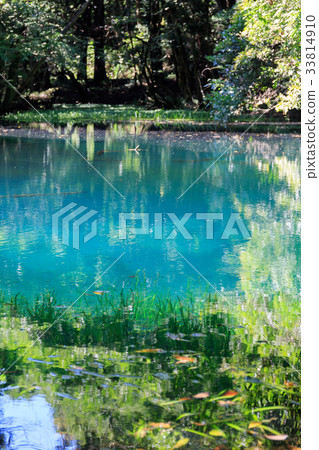 Maruike Maruike 33814910