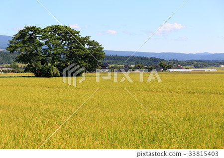 鄉村景觀 鄉村景觀 33815403